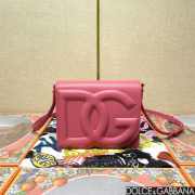 Dolce & Gabbana logobag in pink 16x20x5.5cm - 1