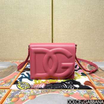 Dolce & Gabbana logobag in pink 16x20x5.5cm