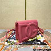 Dolce & Gabbana logobag in pink 16x20x5.5cm - 2