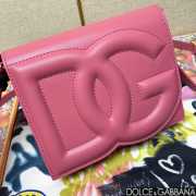 Dolce & Gabbana logobag in pink 16x20x5.5cm - 6