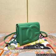 Dolce & Gabbana logo bag in green 16x20x5.5cm - 4