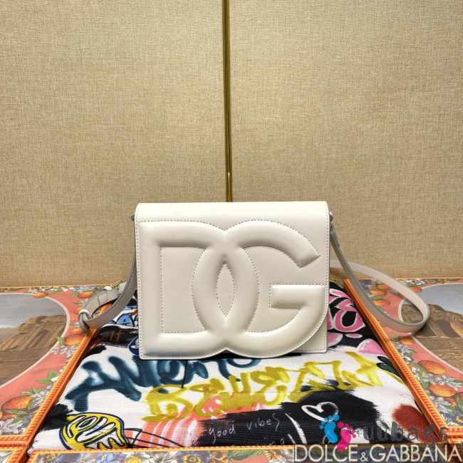 Dolce & Gabbana logo bag in white 16x20x5.5cm - 1