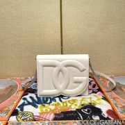 Dolce & Gabbana logo bag in white 16x20x5.5cm - 1