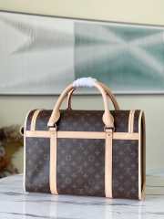 Uubags | Louis Vuitton dog pets carier bag 40x30x22cm - 5