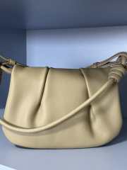 Loewe paseo underarm bag 25x8x17cm - 2