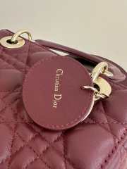 Dior Lady In Red With Gold Buckle 20x8x17cm - 6