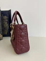 Dior Lady In Red With Gold Buckle 20x8x17cm - 5