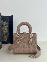 Dior Lady In Pink With Gold Buckle 20x8x17cm - 1