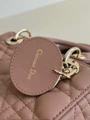 Dior Lady In Pink With Gold Buckle 20x8x17cm - 6