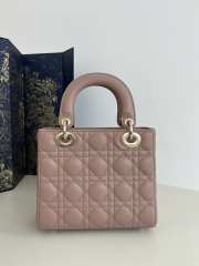 Dior Lady In Pink With Gold Buckle 20x8x17cm - 5