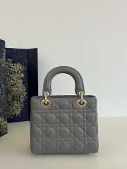 Dior Lady In Gray With Gold Buckle 20x8x17cm - 5