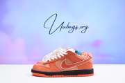 Nike SB Dunk Low Orange Lobster sneaker - 1