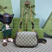 Gucci Blondie Supreme 21x13.5x7cm - 2