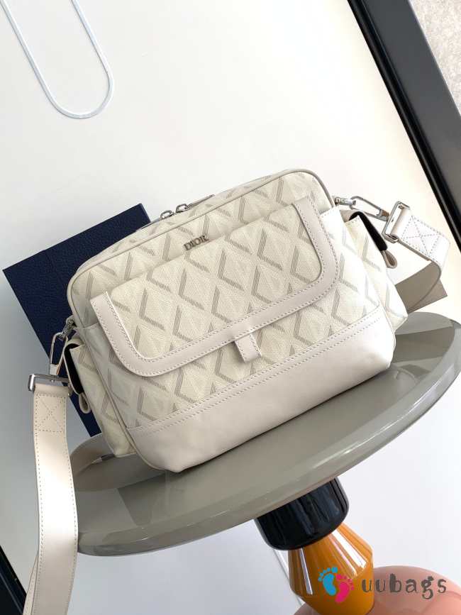 Dior CD white hit the road diamond 26x21x8cm - 1