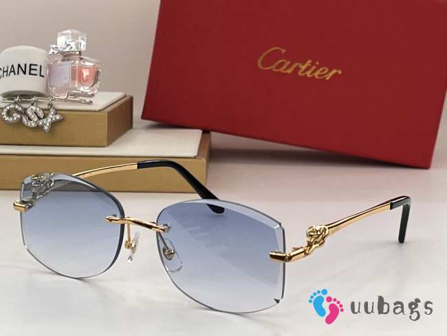 Cartier CT0282 sunglasses  - 1