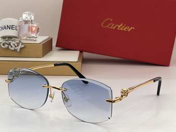 Cartier CT0282 sunglasses 