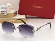 Cartier CT0282 sunglasses  - 2