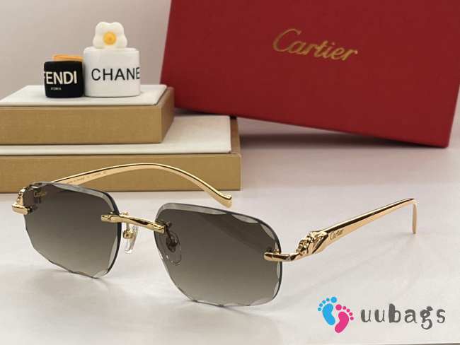 Cartier CT0058 sunglasses - 1