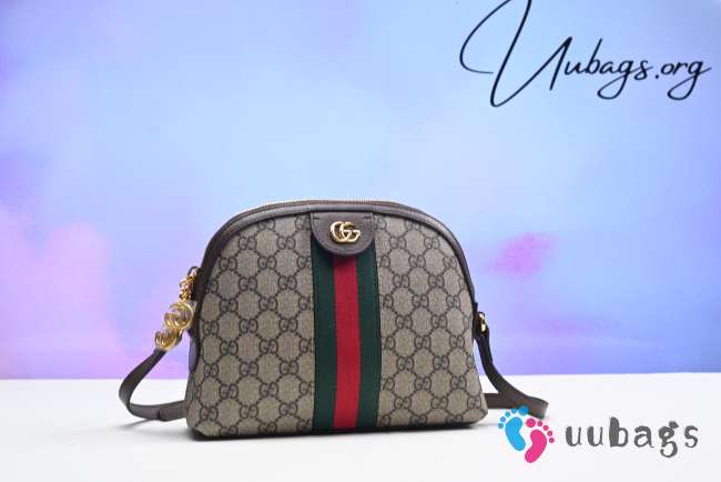 Gucci GG ophidia Small shoulder bag 499621 - 1