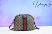 Gucci GG ophidia Small shoulder bag 499621 - 1