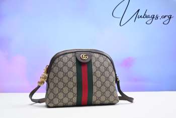 Gucci GG ophidia Small shoulder bag 499621