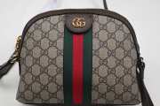 Gucci GG ophidia Small shoulder bag 499621 - 5