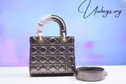 Dior Lady Diana silver with gold buckle 20cm - 3