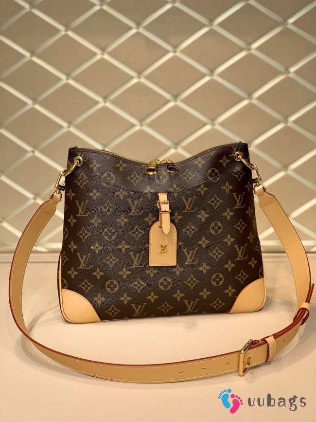 Louis Vuitton M45355 Odeon Bag 31x27x11cm - 1