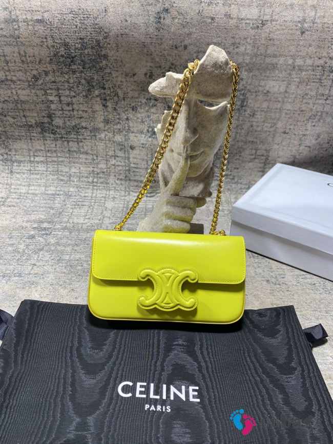 Celine chartreuse bag with gold strap 20.5×10.5×4cm - 1