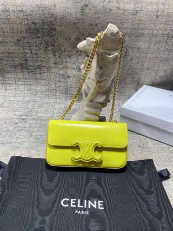 Celine chartreuse bag with gold strap 20.5×10.5×4cm