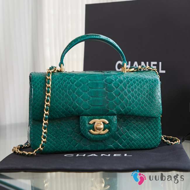 Chanel AS2431 green 02 crocodile handle bag 13×20×9cm - 1