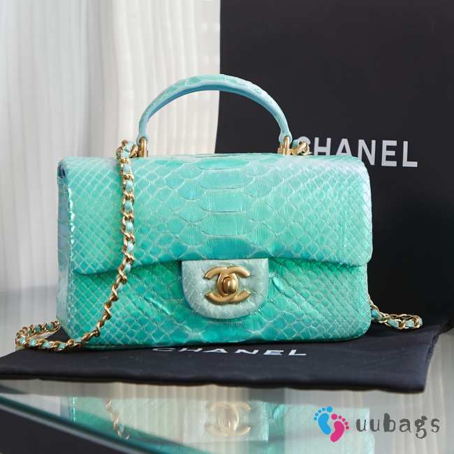 Chanel AS2431 mint green crocodile handle bag 13×20×9cm - 1