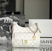 Chanel 23C Runway Hobo Bag White Shiny Calfskin - 1