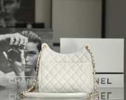 Chanel 23C Runway Hobo Bag White Shiny Calfskin - 4