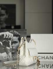 Chanel 23C Runway Hobo Bag White Shiny Calfskin - 2