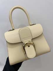 Delvaux Brillant Handbags In Beige 20x11x16cm - 2