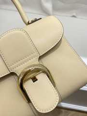 Delvaux Brillant Handbags In Beige 20x11x16cm - 6