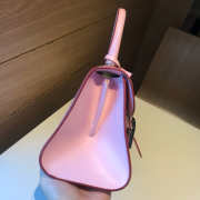 Delvaux pink belgian handbags 20x11x16cm - 5