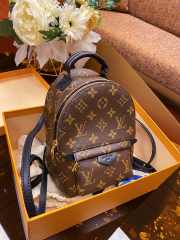 Louis Vuitton M41562 Palm Springs Backpack Mini Monogram Canvas - 1