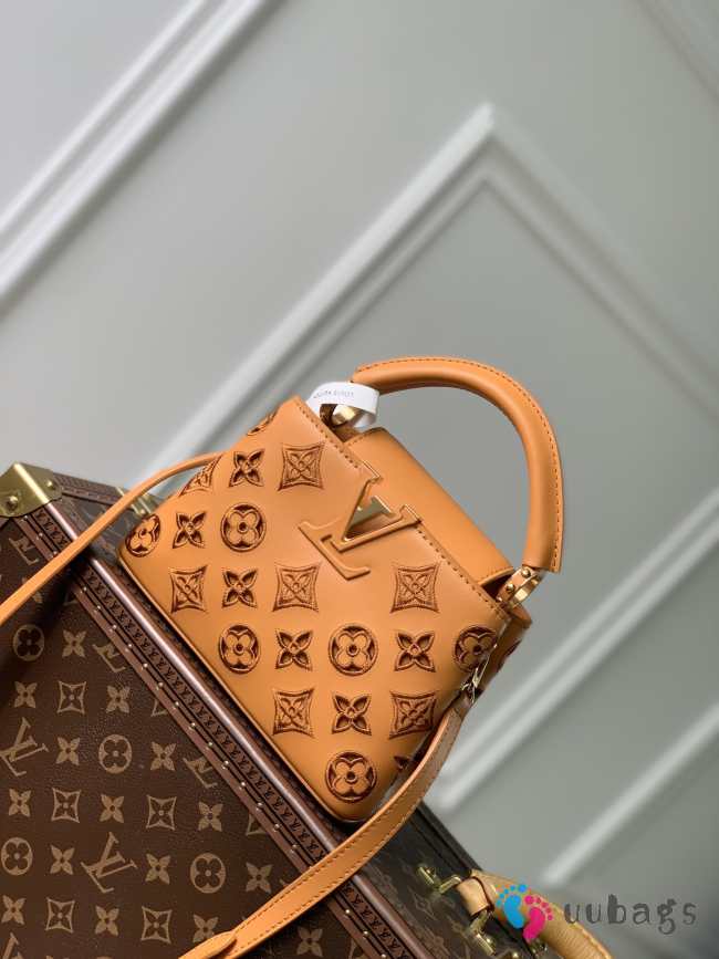 Louis Vuitton M22863 Capucines Orange Bag 21cm - 1