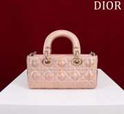 Dior M0541 Lady D Joy 22x12x6.5cm - 5