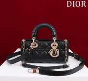 Dior M0541 Lady D Joy In Black 22x12x6.5cm - 1