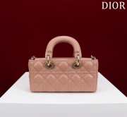 Dior M0541 Lady D Joy In Pink 22x12x6.5cm - 3