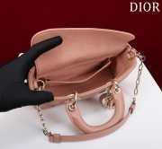 Dior M0541 Lady D Joy In Pink 22x12x6.5cm - 5