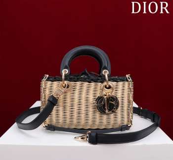 Dior M0541 Lady D Joy Bag 22x12x6.5cm