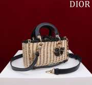 Dior M0541 Lady D Joy Bag 22x12x6.5cm - 5