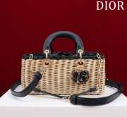 Dior M0541 Lady D Joy Bag  26x13.5x5cm - 1