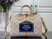 LV M46749 Speedy Bandoulière 25x19x15cm - 1