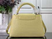 Louis Vuitton N82789 Capucines Crocodile Mat 31x20x11cm - 3