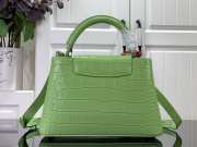 LV M94227 Capucines Crocodile Mat In Green 31x20x11cm - 3